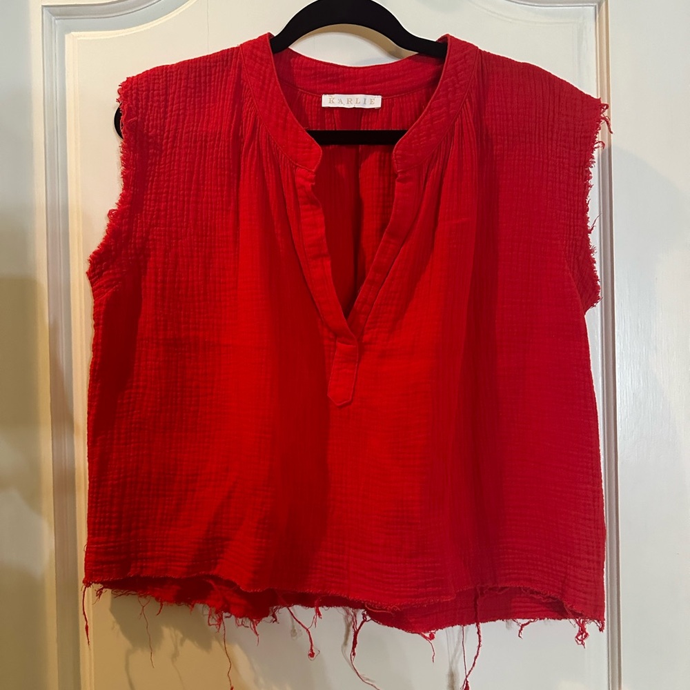 Karlie V cut distressed top